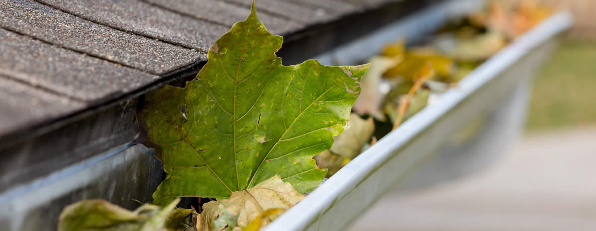 Gutter Guards can prevent leaves and debris from clogging your Clarksville gutters.